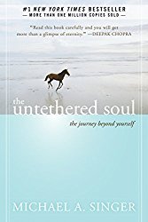 The Untethered Soul, book recommendations, lawyer book recommendations, Michael Singer
