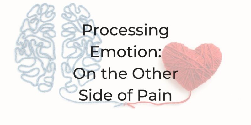 pain, on the other side of pain, be a better lawyer podcast, dina cataldo, processing emotion, how to process emotion, what does it mean to process emotion