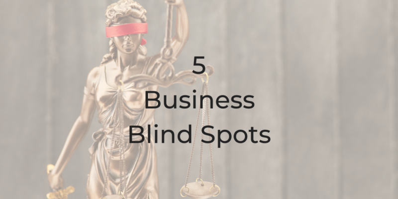 5 BUSINESS BLIND SPOTS BUSINESS BLIND SPOTS LEGAL PRACTICE BLIND SPOTS WHERE ARE MY BLIND SPOTS BE A BETTER LAWYER DINA CATALDO BE A BETTER LAWYER PODCAST HOW TO RUN A LEGAL PRACTICE