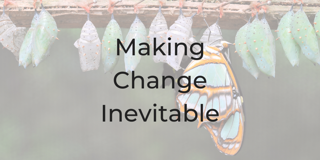 making change inevitable, how to make change, making change. how to make change