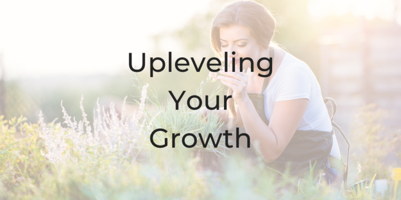 Upleveling Your Growth how to be a better lawyer be a better lawyer lawyer podcast legal podcast best law podcasts Dina Cataldo how to grow your law firm