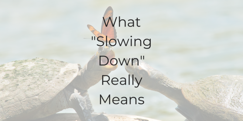 what slowing down really means Dina Cataldo how to be a better lawyer time management for lawyers how to slow down slowing down
