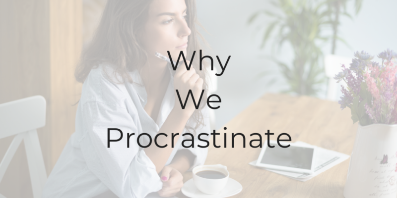 why we procrastinate why I procrastinate why do we procrastinate how to stop procrastinating be a better lawyer Dina Cataldo how to be a better lawyer why do we procrastinate