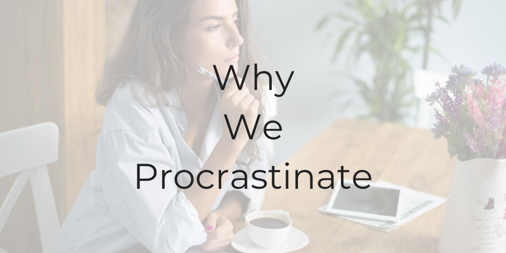 why we procrastinate, why I procrastinate, why do we procrastinate, how to stop procrastinating, be a better lawyer, Dina Cataldo, how to be a better lawyer, why do we procrastinate