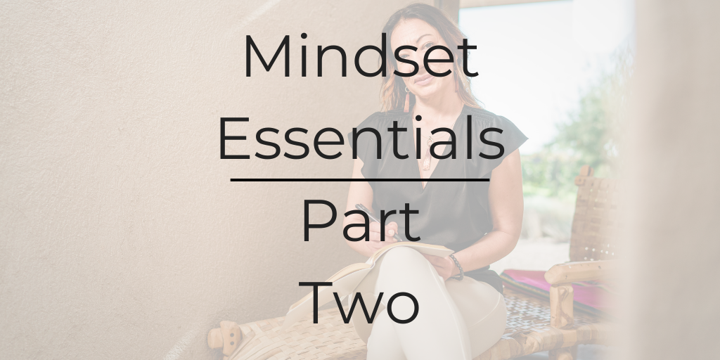mindset essentials, Be a Better Lawyer Podcast, Dina Cataldo, what is mindset?, what is thought work?, how do I change my mindset?, life coach for lawyers, what is life coaching