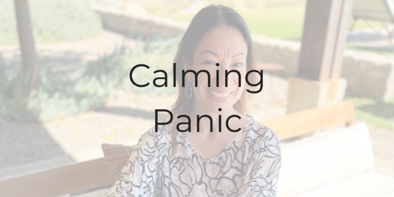 calming panic, Dina Cataldo, Be a Better Lawyer, how to calm panic