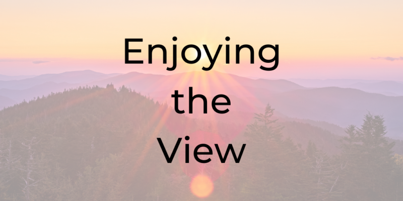 enjoying the view, goal setting, how to set a goal, be a better lawyer, dina cataldo, lawyer coaching, coach for attorneys