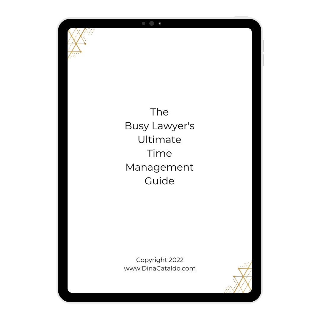 the busy lawyer's ultimate time management guide, dina cataldo, time management for lawyers